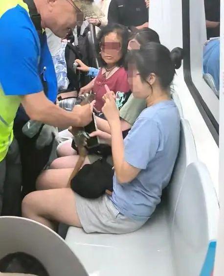 老人嫖少女图片大全,触目惊心的社会现象