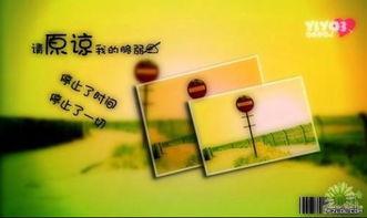 真心真意的图片,情感共鸣的瞬间