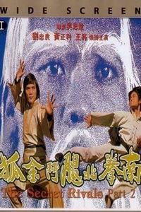 南拳北腿斗金狐国语版,一场跨越国界的武术传奇对决