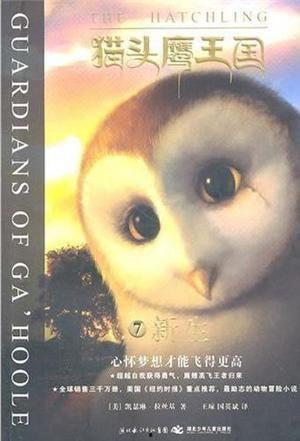 猫头鹰王国国语下载,神秘国度探险之旅